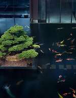 Park Hyatt Suzhou