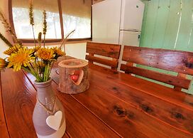 Sunflower Camping