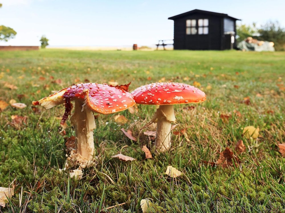 5 Star Holiday Home in Hojslev