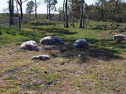 5 Star Holiday Home in Hadsund