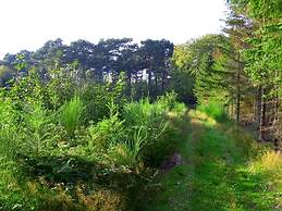 4 Person Holiday Home in Vaeggerlose