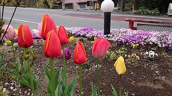 Lake&Forest Flower Villa Hotel