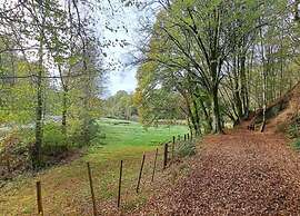 Family Villa Near Forest