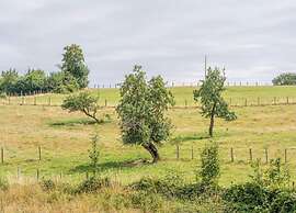 Bievre Forest-edge Retreat