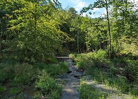 Bievre Forest-edge Retreat