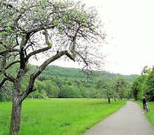 Spacious Apartment in Vulkaneifel