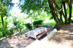 Massarosa Garden Cottage