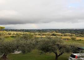 Massarosa Garden Cottage