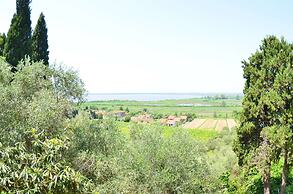Massarosa Garden Cottage