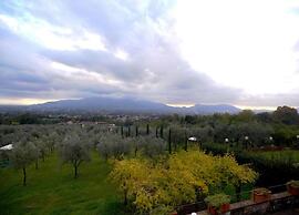 Massarosa Garden Cottage