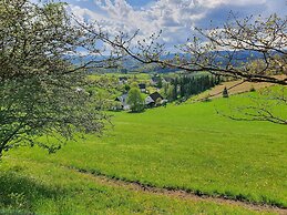 Flat With Private Pool in Sauerland