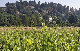 Villa in Gareoult With Private Pool