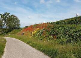 Ferienwohnung in Bischoffingen