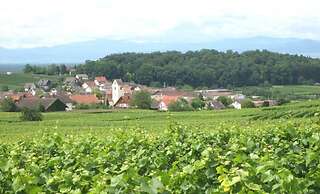 Ferienwohnung in Bischoffingen