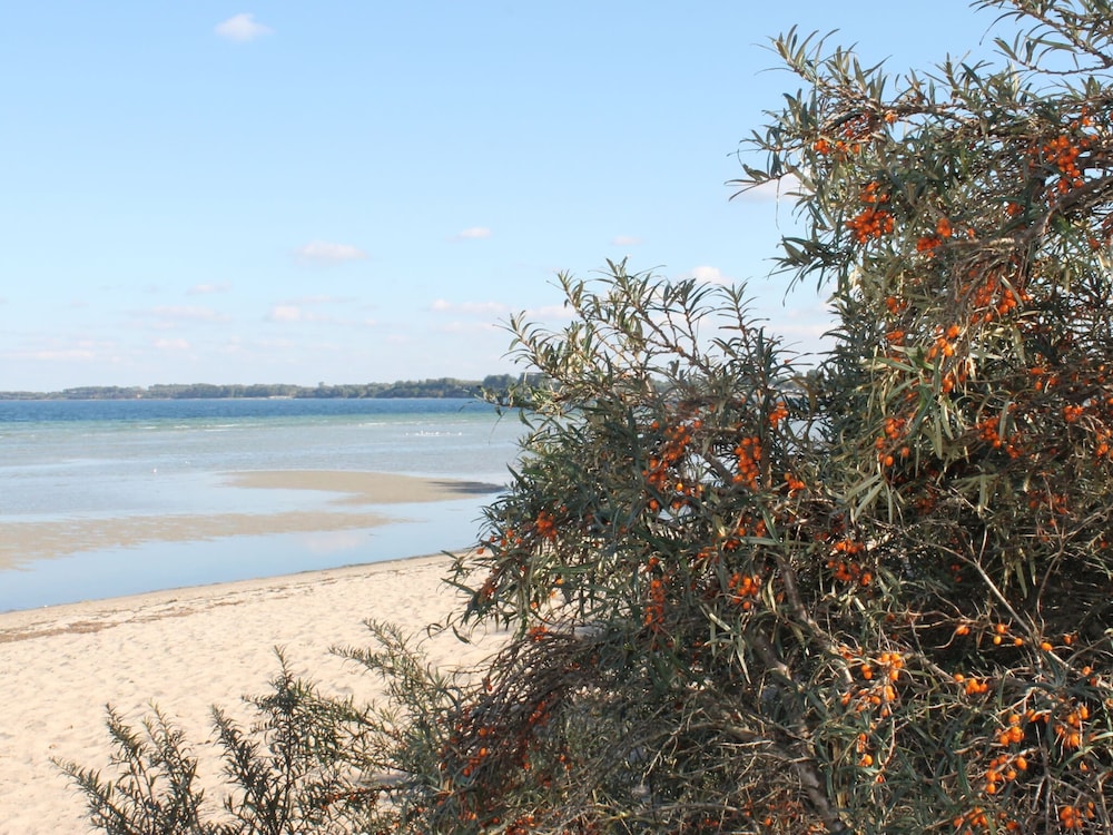 Wohnung in Elmenhorst Nahe Ostseestrand