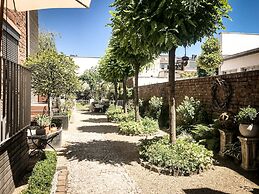 the backyard