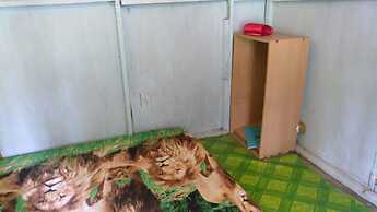 Homestay Miftah Syariah - Hostel