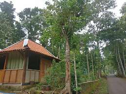 Homestay An-Nur - Hostel