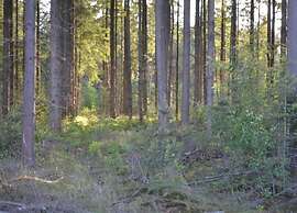 Tranquil Stay in Drenthe