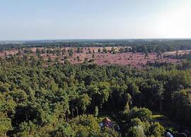 Tranquil Stay in Drenthe
