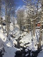 Chalet in Les Gets Near Ski Bus & Sauna