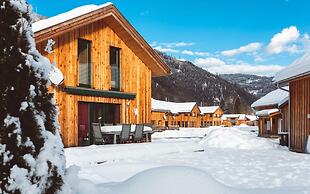 Amazing Chalet With Sauna