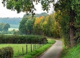 Forest Cottage Near Leenderbos