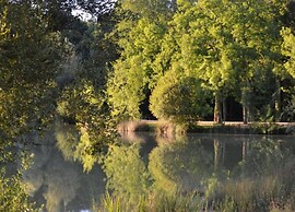 Forest View Home in Loubejac