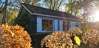 Villa in Vessem Near Eindhoven