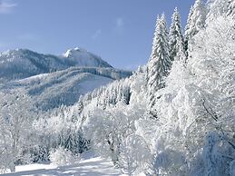 Apartment in Kleinarl Near Ski Slopes