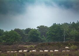Breton Escape in Querrien