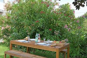 Spacious Villa Retreat in Carcassonne