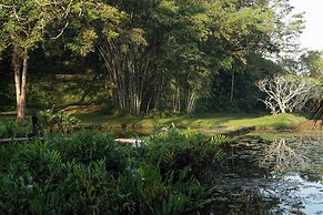 Lunuganga Estate