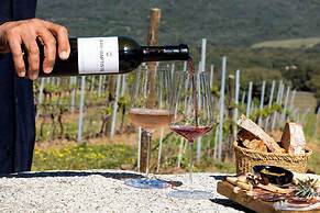 Domaine de Peretti della Rocca