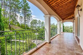 Villa in Le Muy With Private Pool & Forest