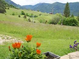 Nature & Adventure Highlights