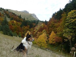 Nature & Adventure Highlights