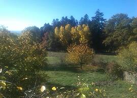 Peaceful Getaway in Teilhet