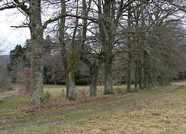 Peaceful Getaway in Teilhet