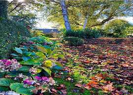 Peaceful Stay Near Lake