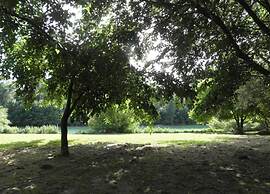 Vineyard Villa in Montfrin