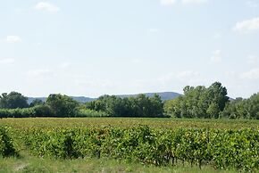 Vineyard Villa in Montfrin
