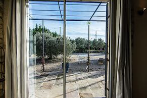 Vineyard Villa in Montfrin