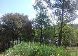 Saint-bres: Pool & Nature