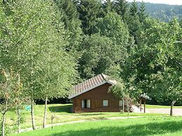 Ventron Chalet With Hill Views