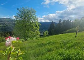 Ventron Chalet With Hill Views