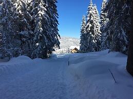 Bergheim Waeldele