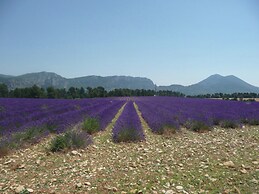 Holiday Home Provence With Pool