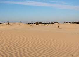 Chalet Near Drunense Dunes