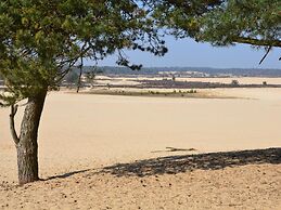 Chalet Near Drunense Dunes